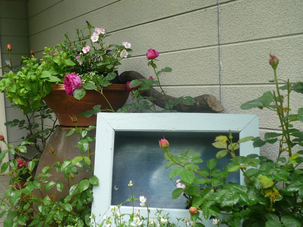 津和野町 オーベルジュ　四季の詩 Bed & Breakfast エクステリア 写真